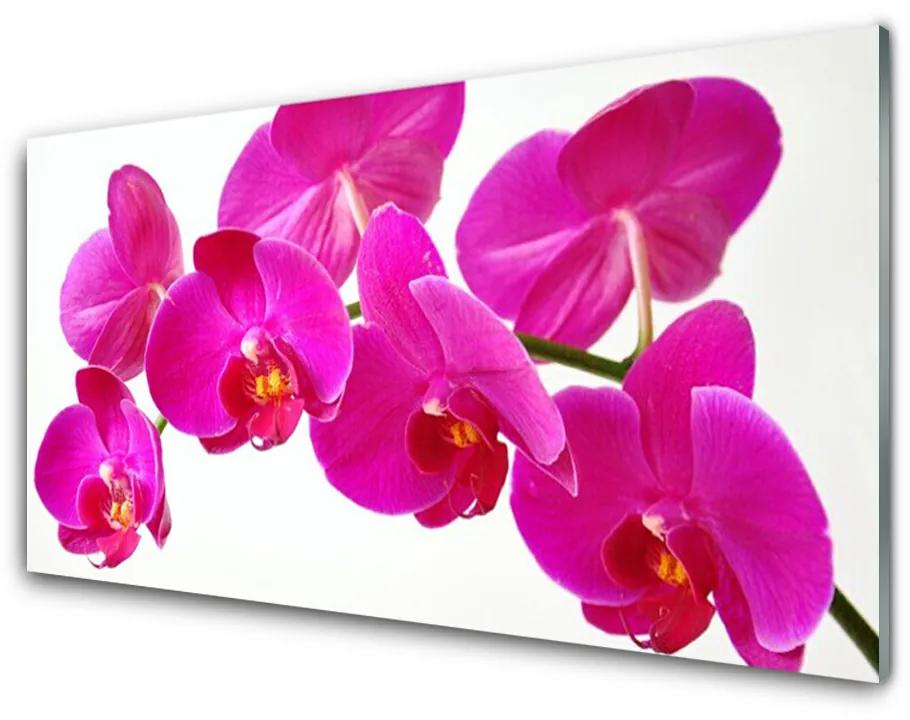 Akril üveg kép virágok növények 140x70 cm