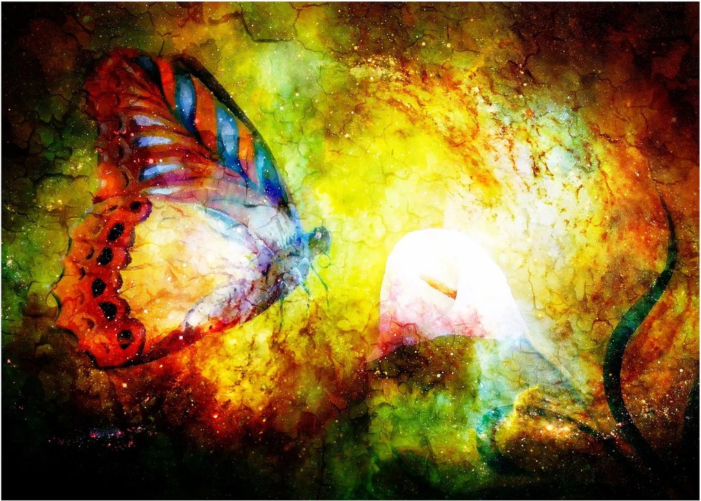Kép - Kozmikus pillangó (70x50 cm)
