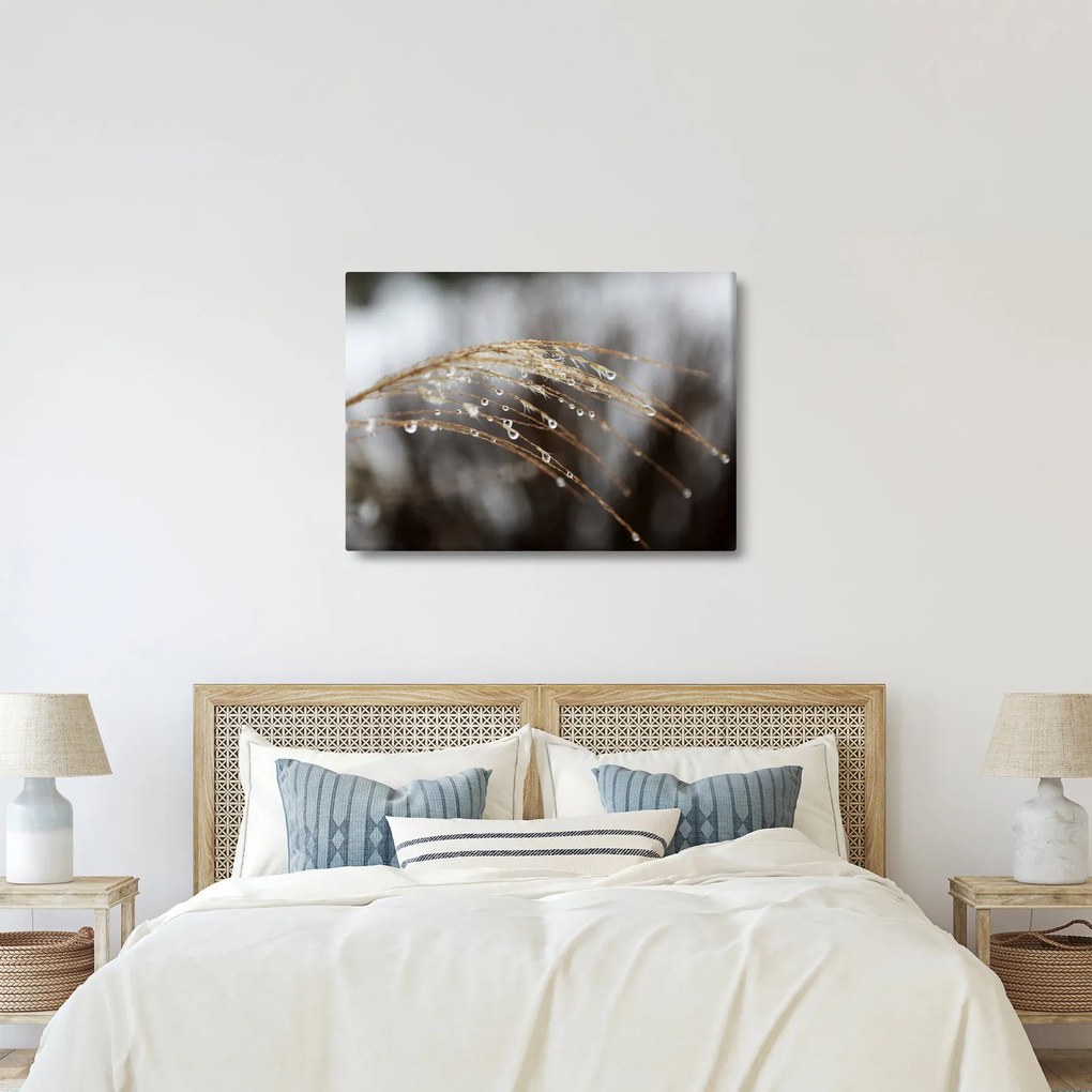 Cseppkép egy növényen (70x50 cm)
