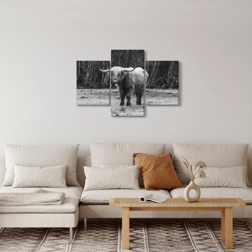 Kép - Skót tehén 3, fekete-fehér (90x60 cm)