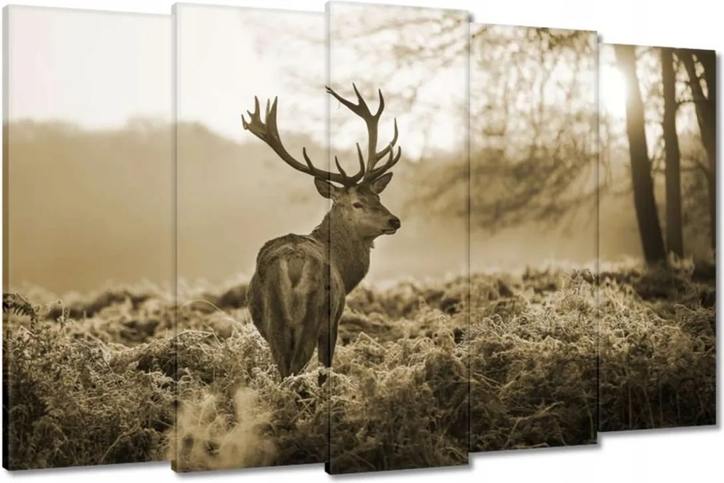 Vászonkép 150x95 Szarvas erdő naplemente