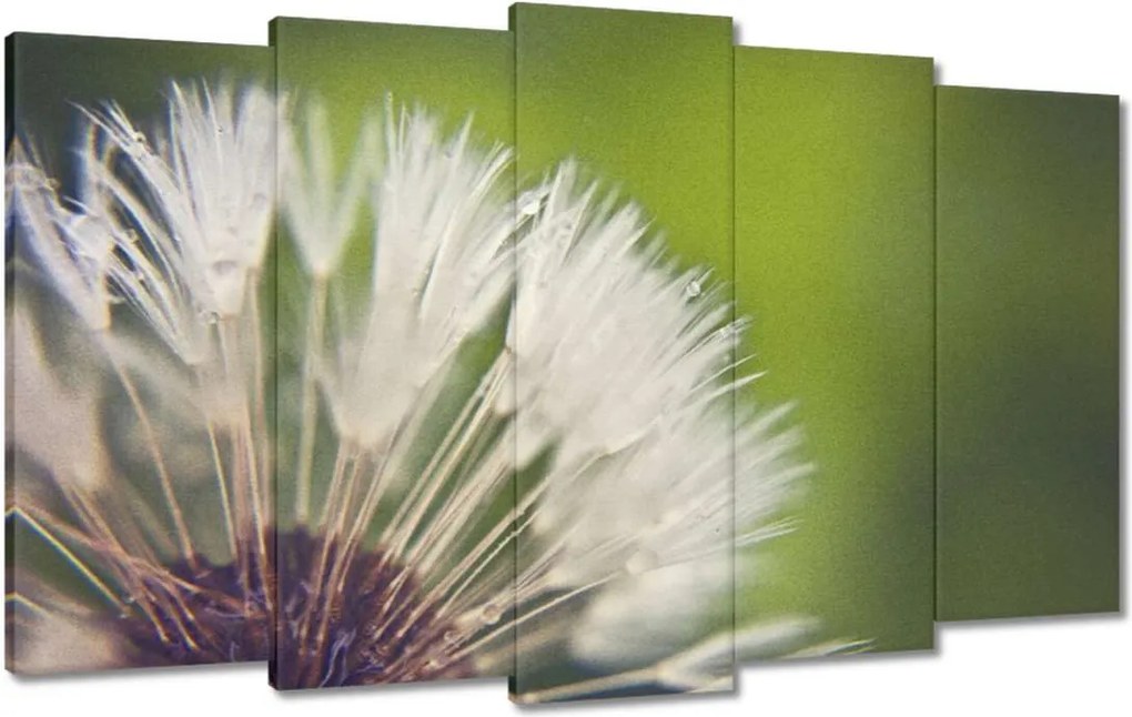 Vászonkép 100x60 Pitypang Virág Virágok