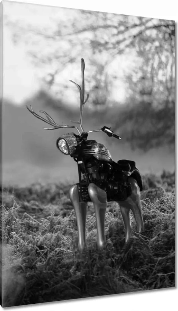 Festmények 80x120 Szarvas Modern művészet