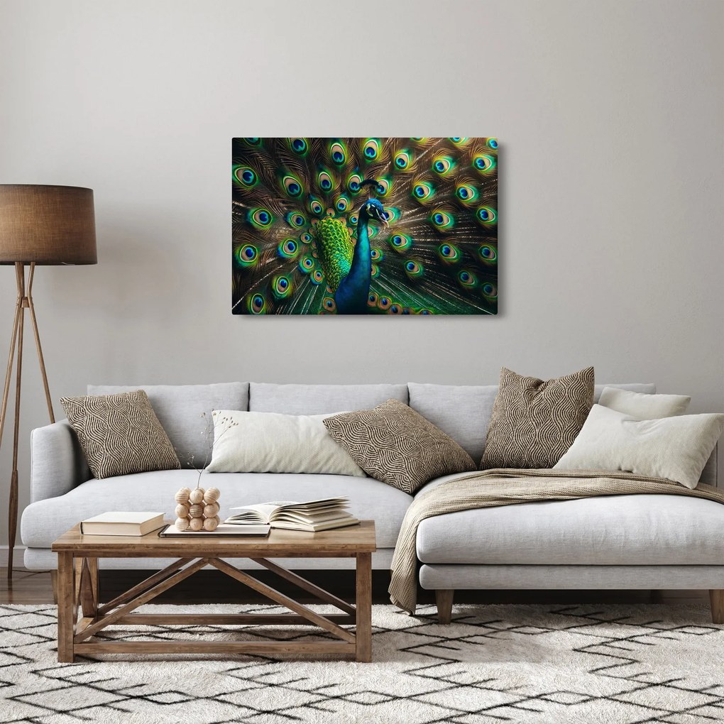 Kép – Pávatoll (90x60 cm)