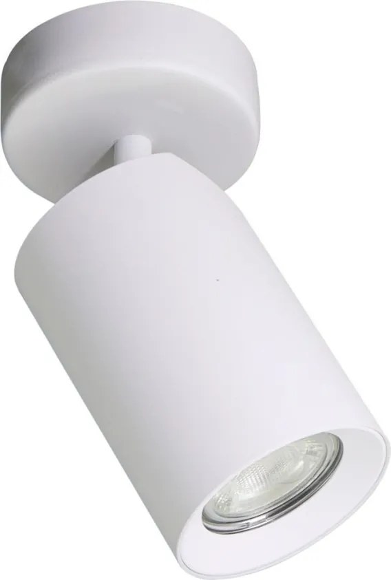 Zuma Line TORE TLS006-WH mennyezeti lámpa 1x35W/GU10 IP20
