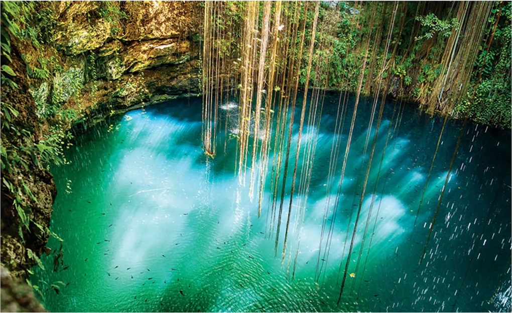 Cenote Vízalatti Paradicsom fotótapéta Fény és zöld 300x210 +ragasztó