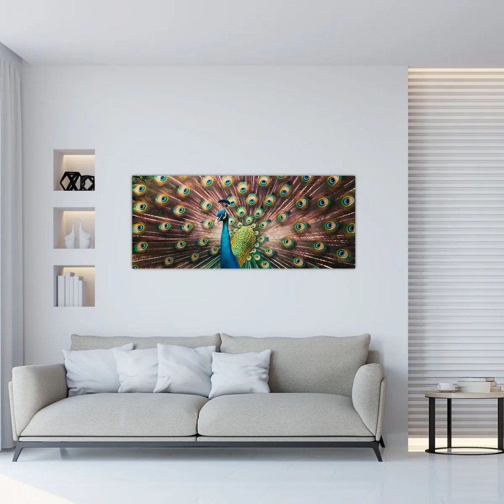 Kép - Páva (120x50 cm)