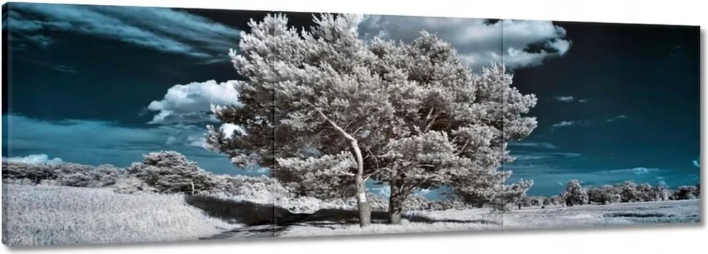 Festmények 150x50 Fa