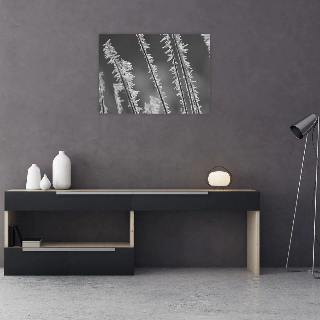 Üveg kép - Fagyos hideg (70x50 cm)