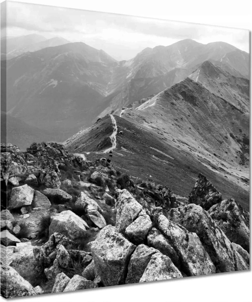 Vászonkép 40x40 Tátra Lengyel hegyek Kilátás