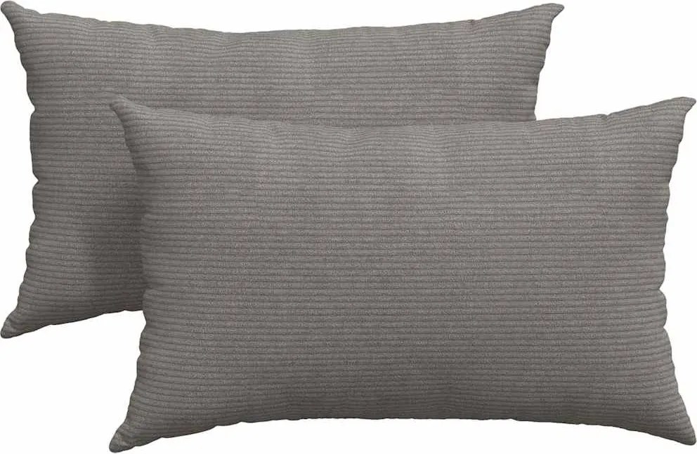 vidaXL Kanapé párnák 2 pcs Világosszürke 50 x 30 cm Bársonyos szövet