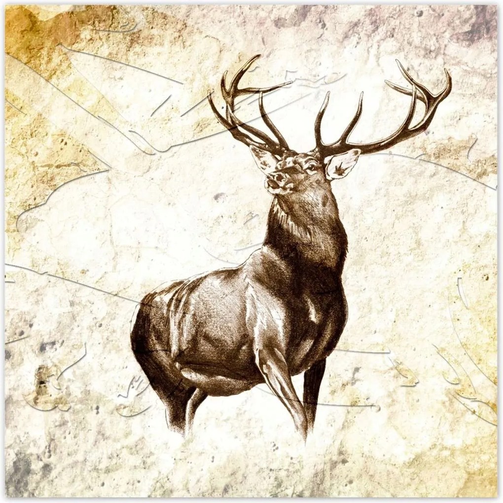 Poszterek 70x70 Nagy szarvas