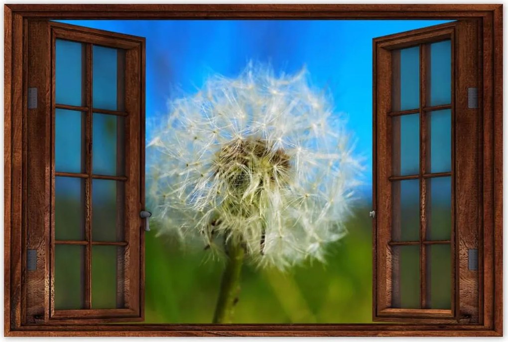 Poszterek 90x60 Pitypang Virág Virágok