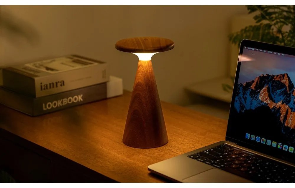 Sötét natúr színű LED asztali lámpa fa búrával (magasság 21 cm) Sylva – Gingko