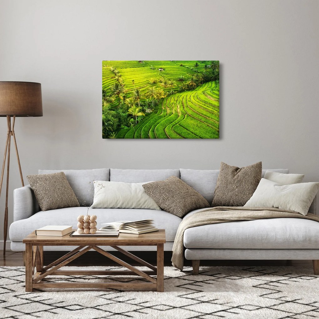 Kép - Rizs teraszok (90x60 cm)