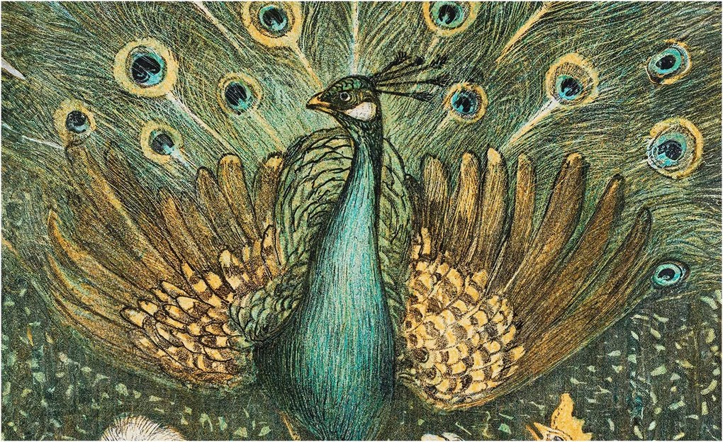 Fotótapéta Flizelin Fal a Hálószobába Fenséges páva 416x254 Ragasztó