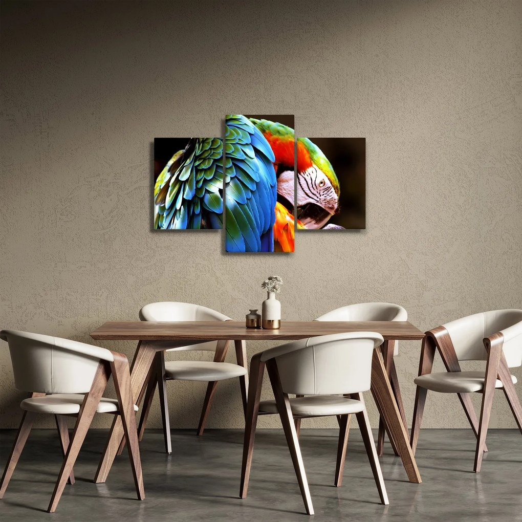 Kép - Papagáj (90x60 cm)