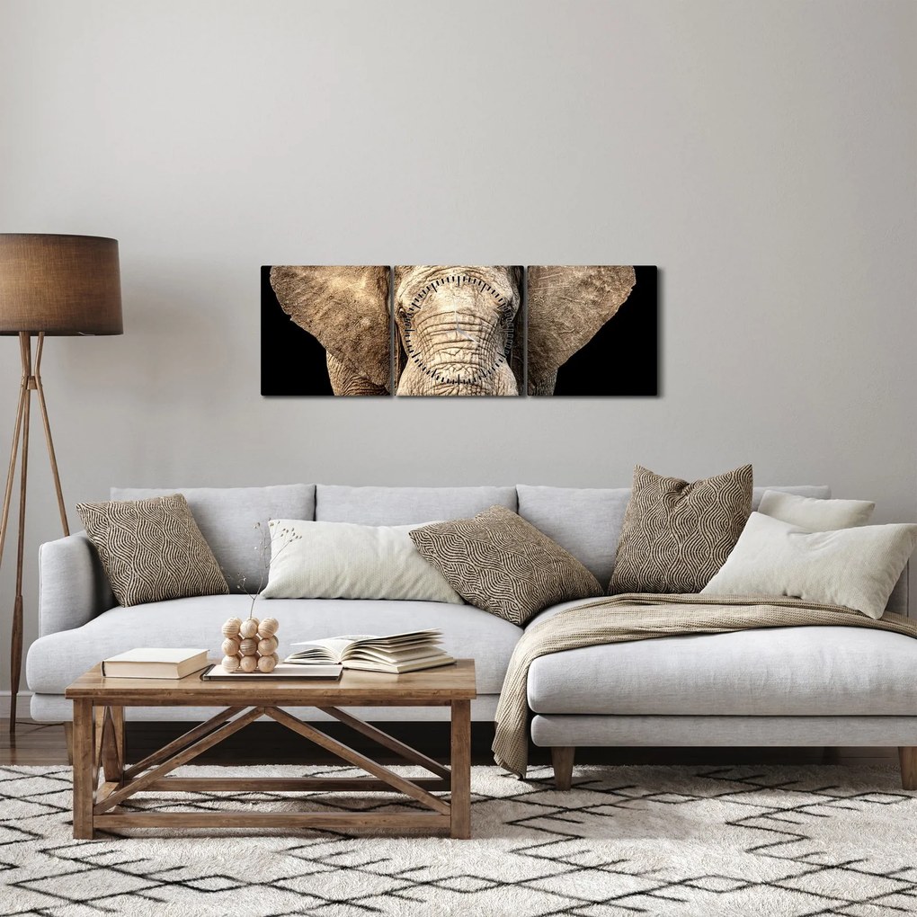Kép - Afrikai elefánt (órával) (90x30 cm)
