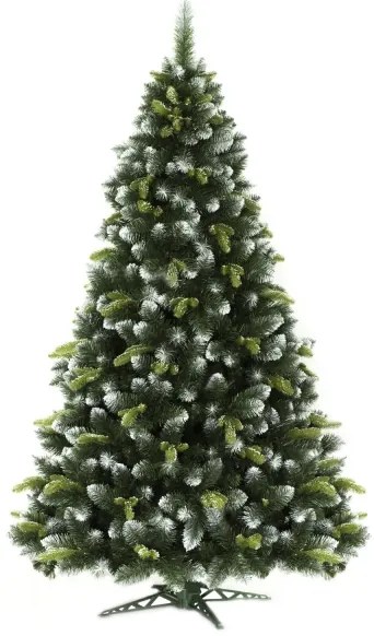 Karácsonyfa 180 cm fenyő