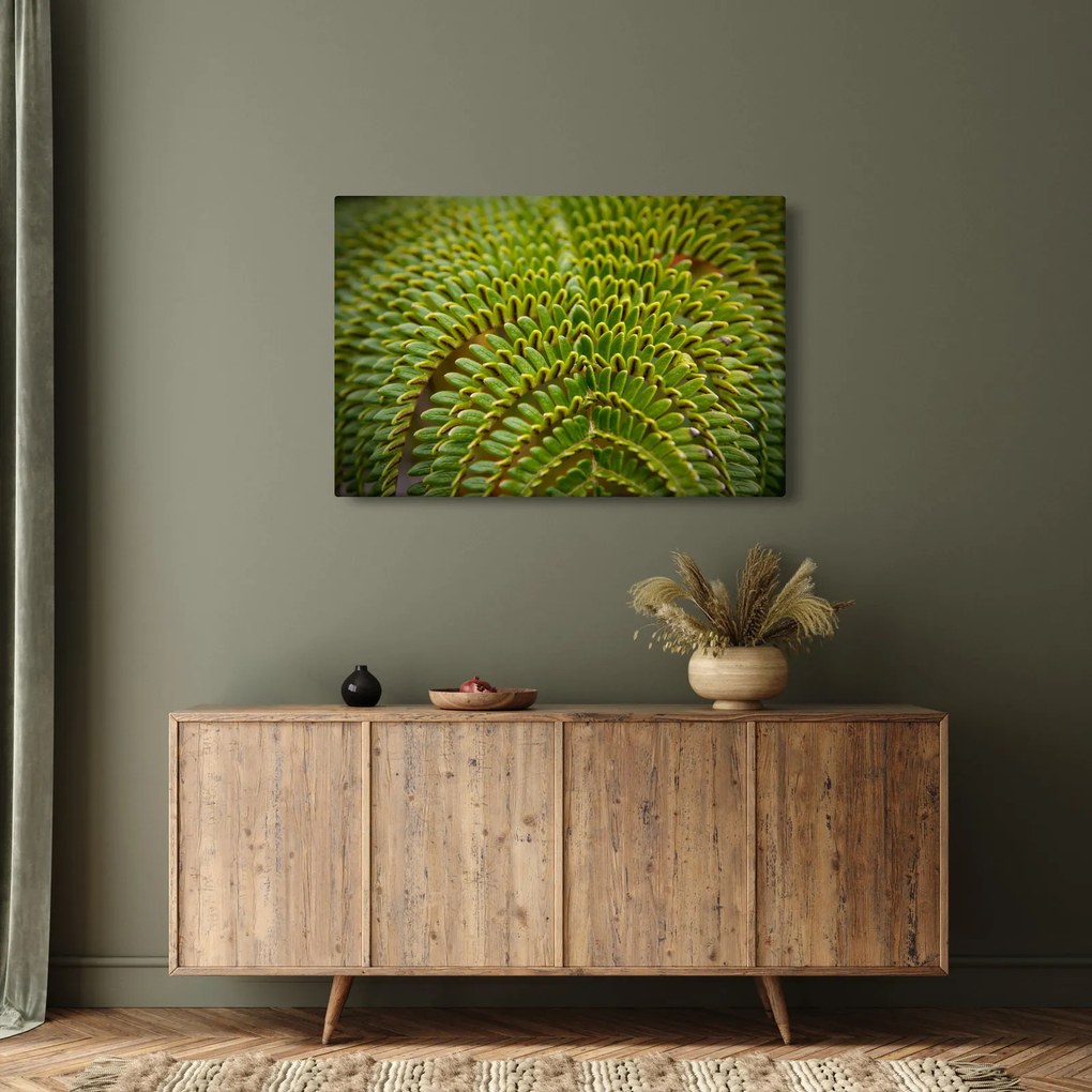 Kép - Fern (90x60 cm)