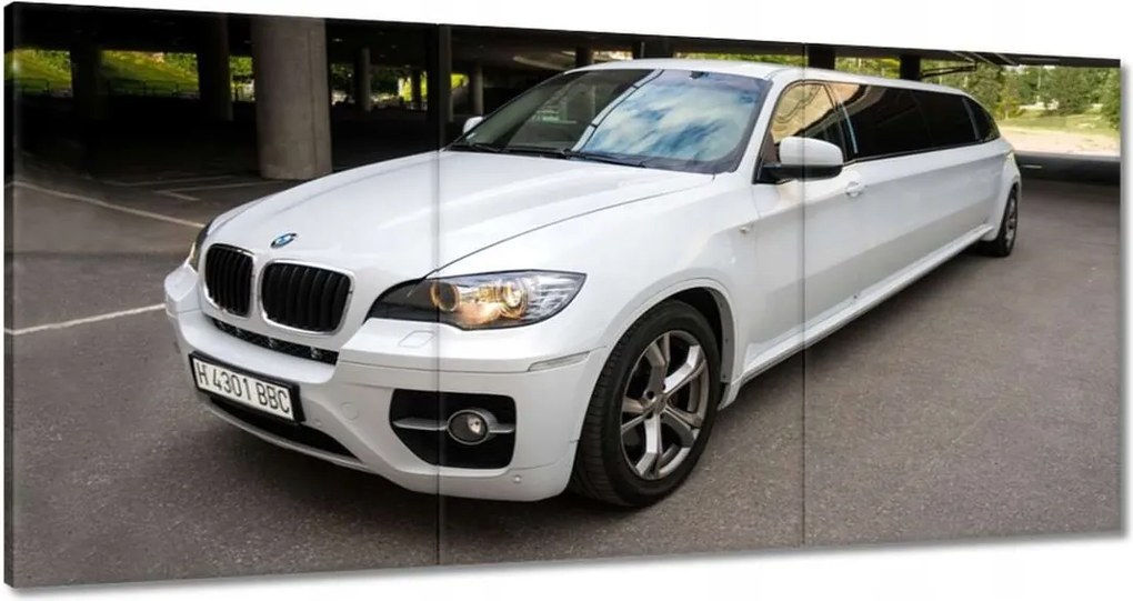 Képek 120x60 Bmw X6 Limousine