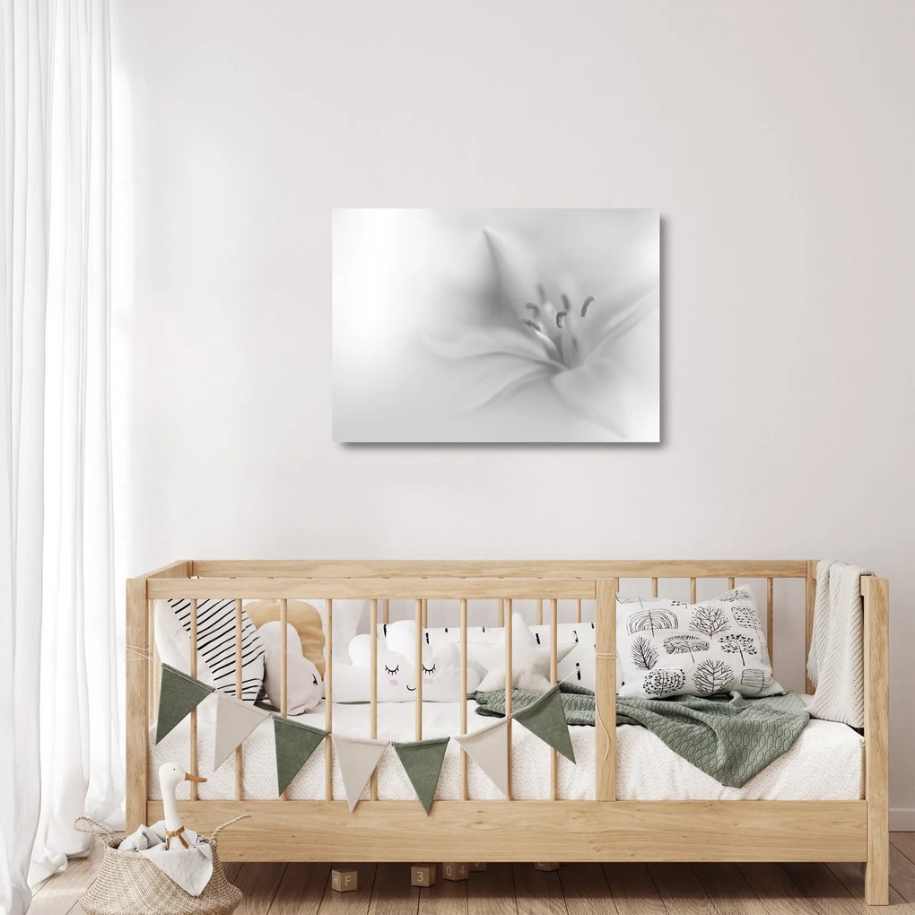 Üveg kép - Delicate Lily (70x50 cm)