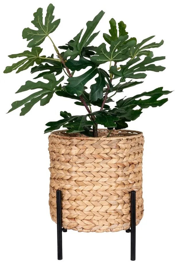 Vízijácint virágcserép ø 24 cm Antas – House Nordic