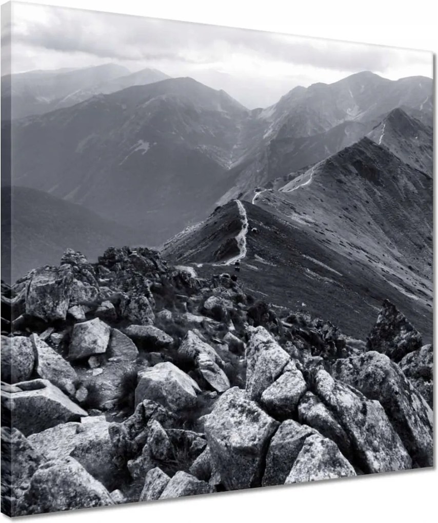 Vászonkép 40x40 A Tátra főcsúcsa