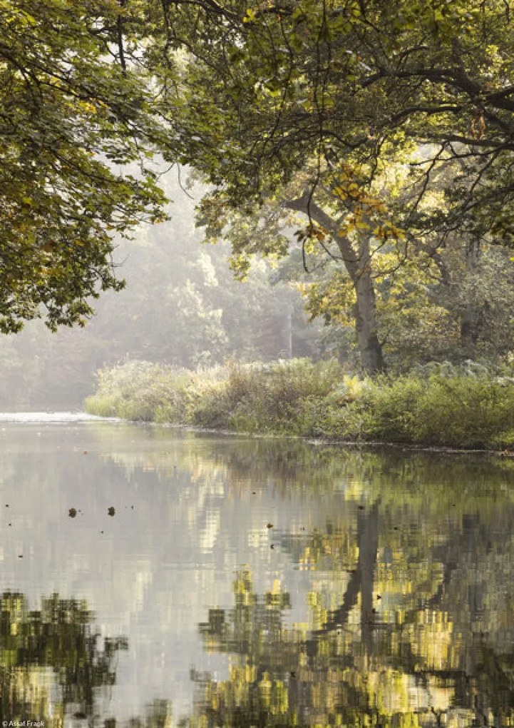 Poszter 21x29,7cm Basingstoke 3 csatorna, Assaf Frank