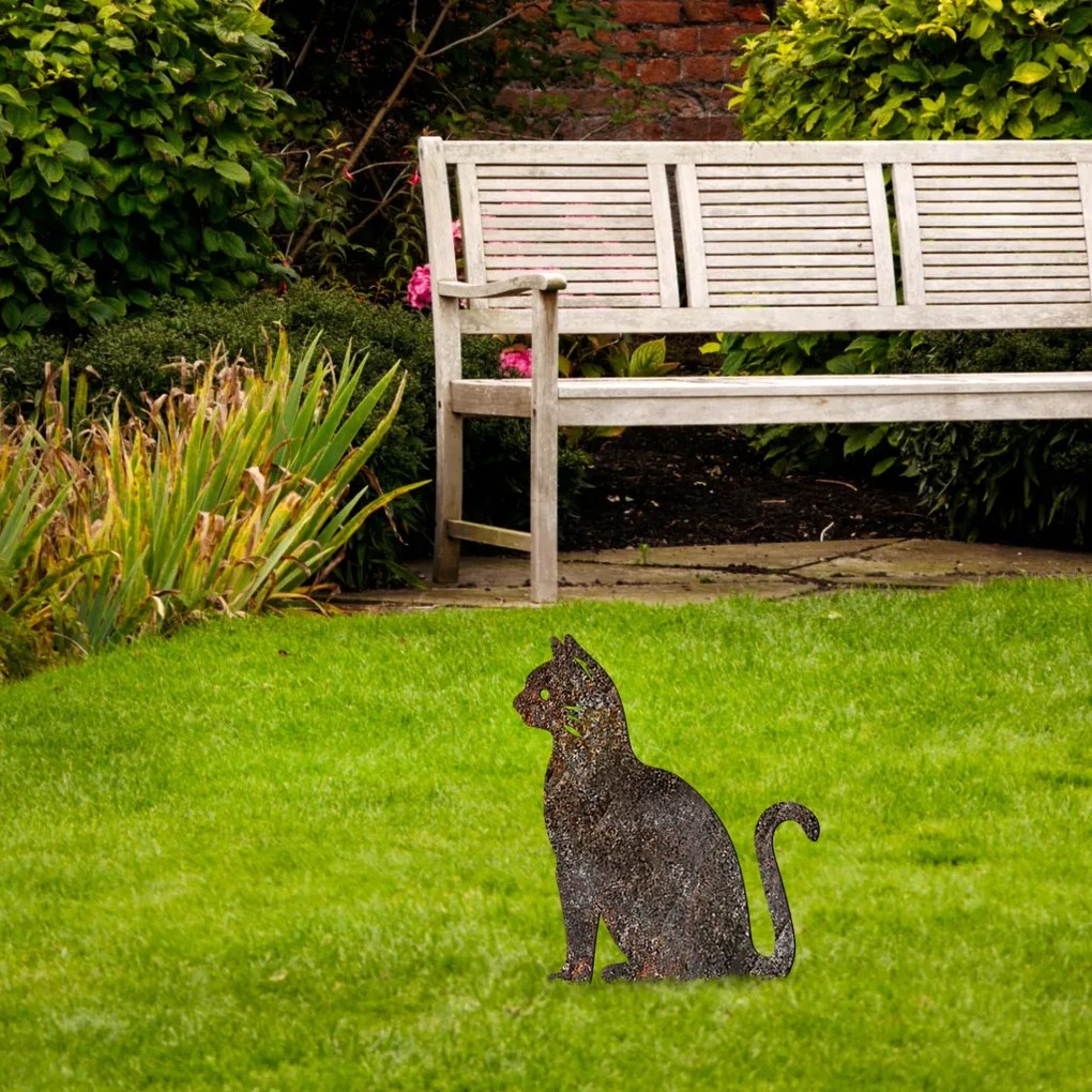 Cat -A 02