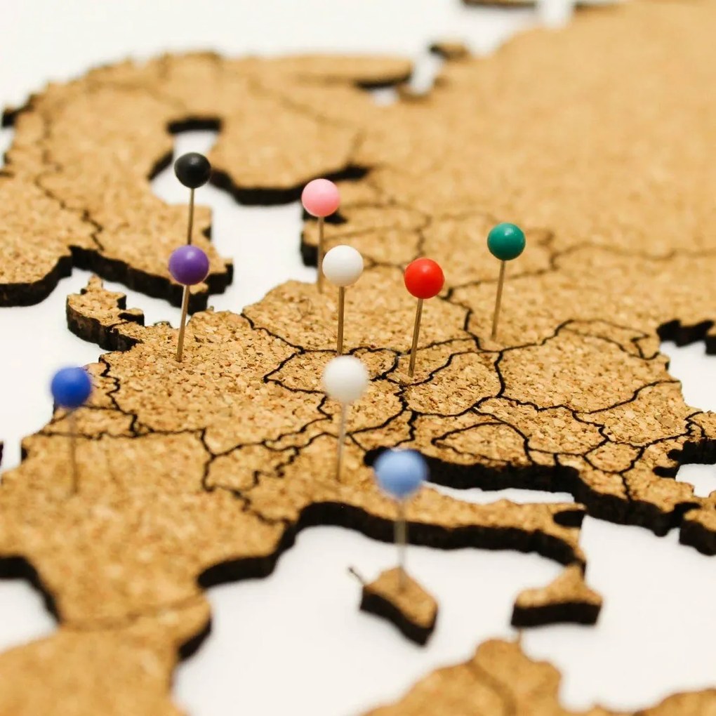 DUBLEZ | Parafa világtérkép falikép