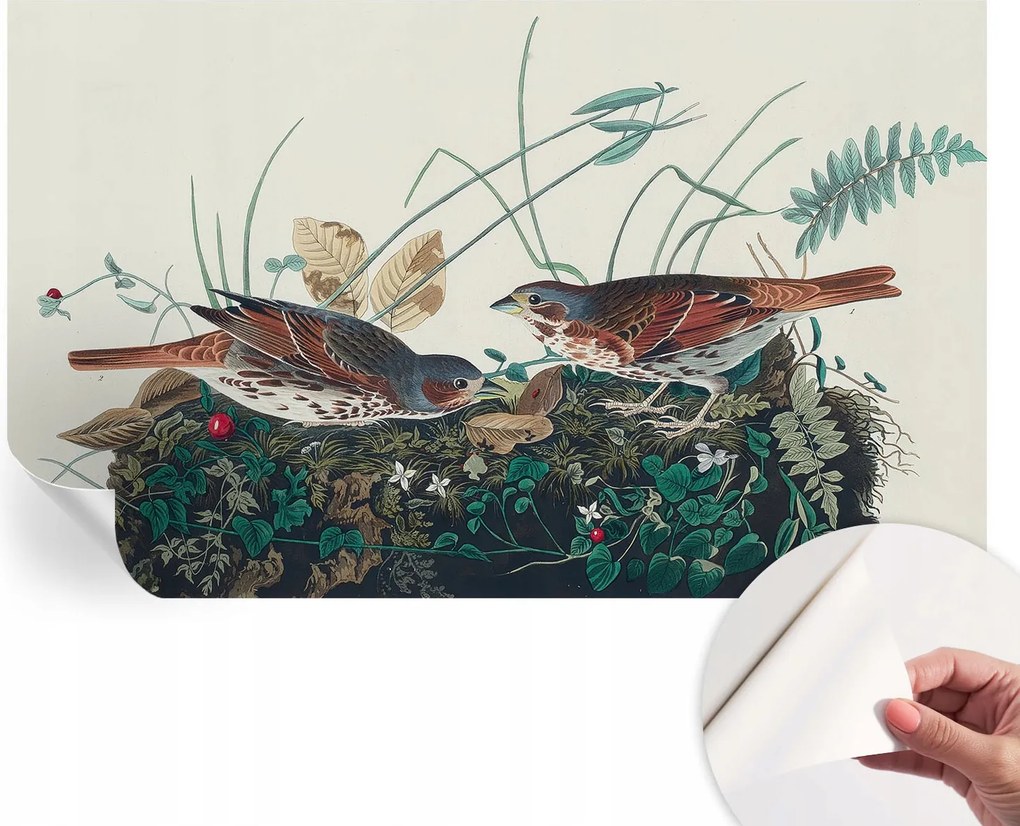 Öntapadós Dekoratív Fotótapéta Hálószobába A természet varázsa 416x254 cm