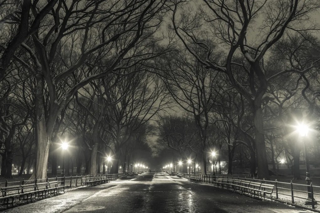 Poszter 91,5x61cm Éjszakai kilátás a Central Parkon át vezető útra, Assaf Frank