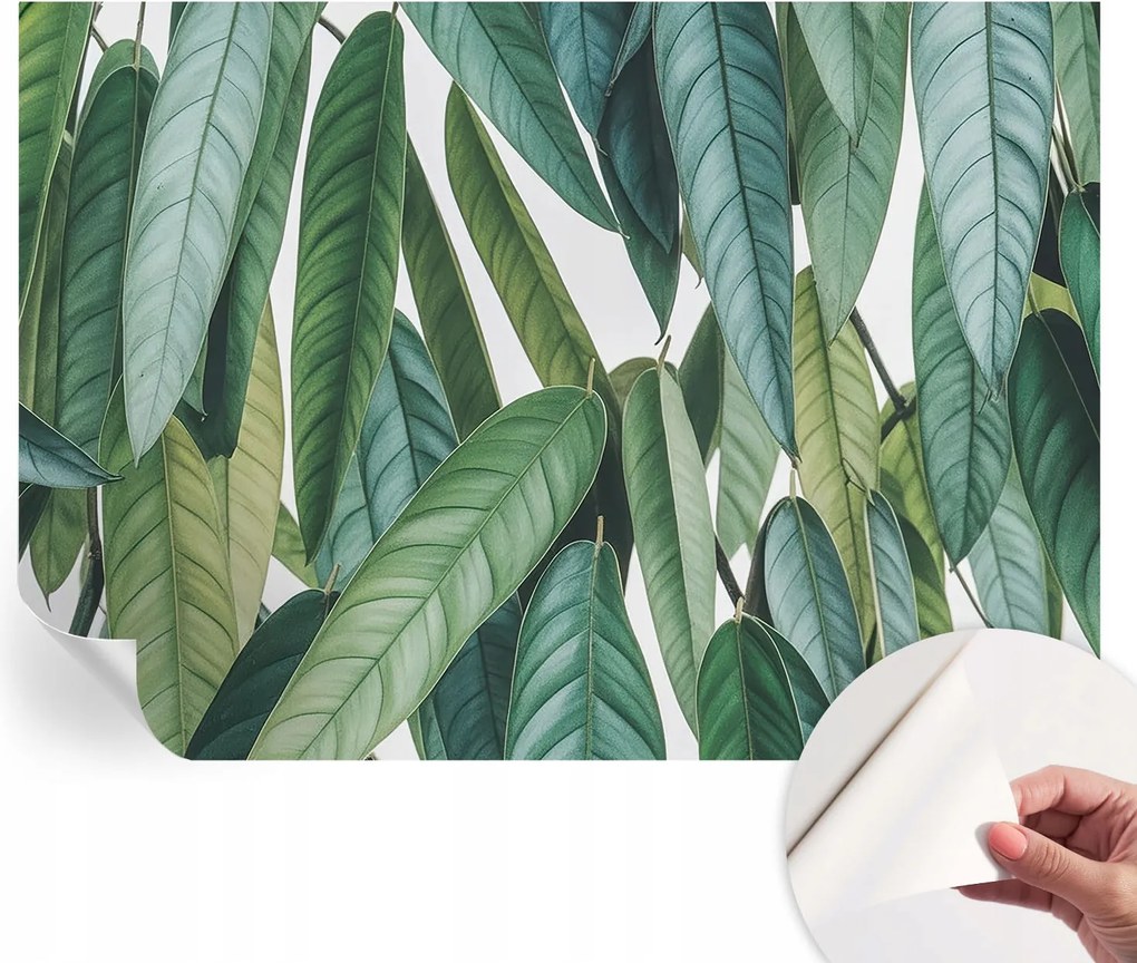 Design fali fotótapéta öntapadós natúr levelek 208x146 cm