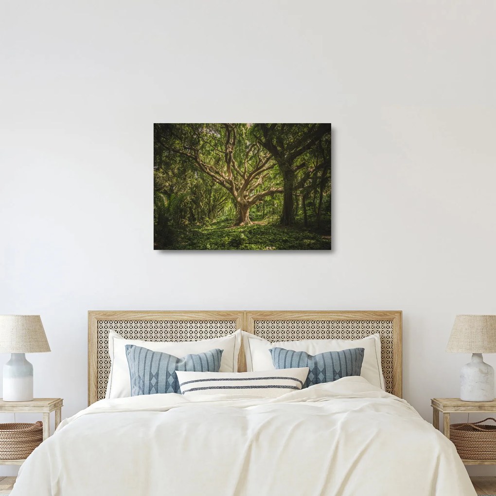 Fa képe (üvegen) (70x50 cm)