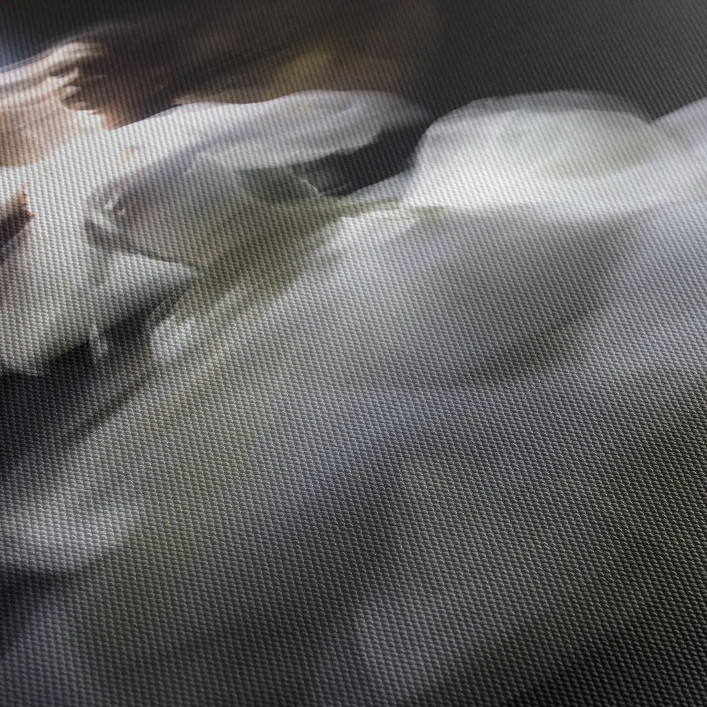 Lótuszvirág képe (120x50 cm)