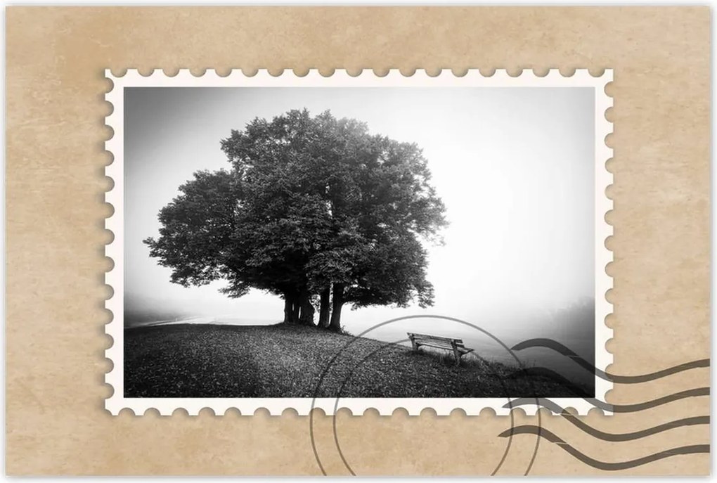 Poszterek 60x40 Tájkép szürke Bw