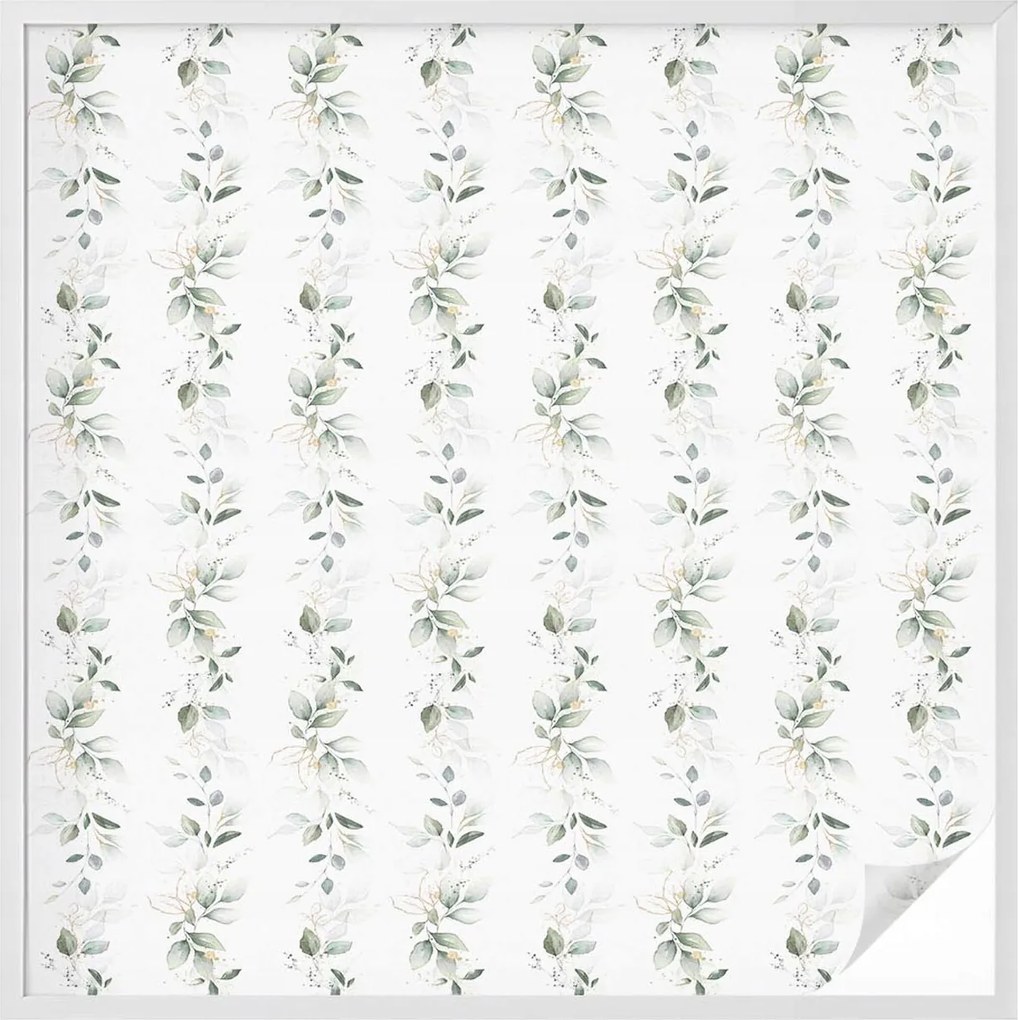 Ablakfólia Szélvédő Adatvédelem Növényi báj 100x100 cm