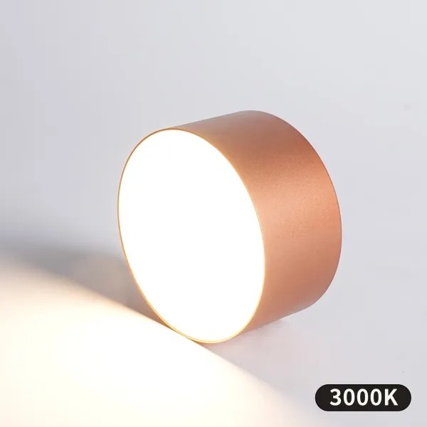 BRILAGI - LED Kültéri mennyezeti lámpatest FORIS LED/14W/230V átm. 12 cm bronz IP44