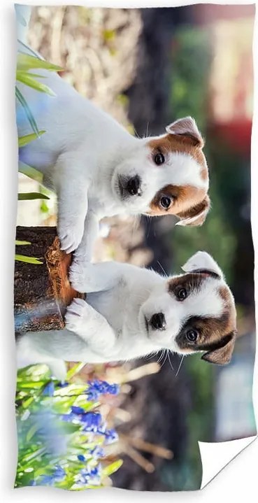 Strandtörölköző Fürdőlepedő 70X140 Kutyás