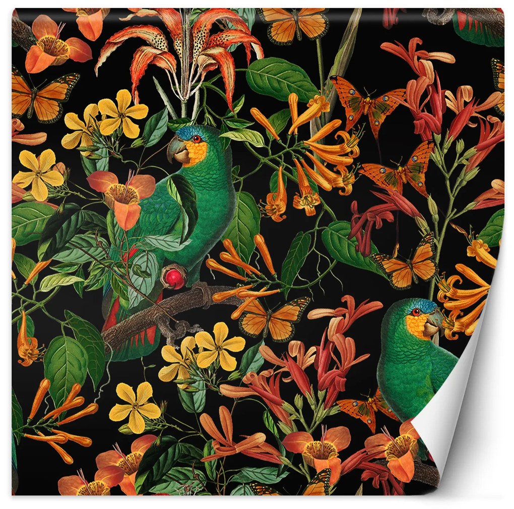 Gario Fotótapéta Madár a levelek hátterében absztrakt színes - Andrea Haase Anyag: Vlies, Méret: 300 x 300 cm