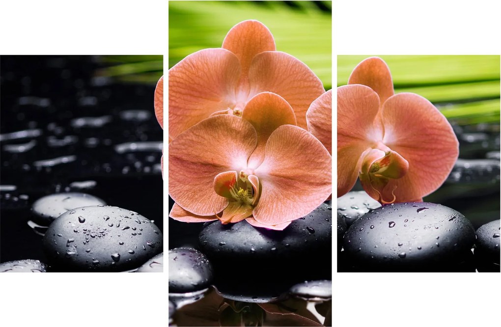Kép - Narancssárga orchidea pálmalevelekkel (90x60 cm)