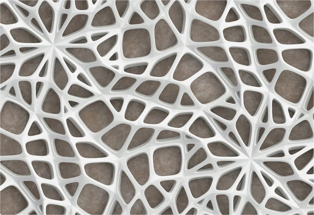 Dekoratív Fali Fotótapéta Falra Geometrikus háló 152x104 Ragasztó