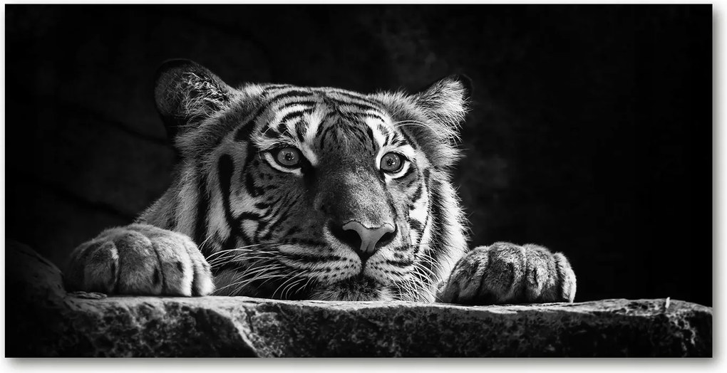 Fotó-kép fotó edzett üveg Tigris 140x70