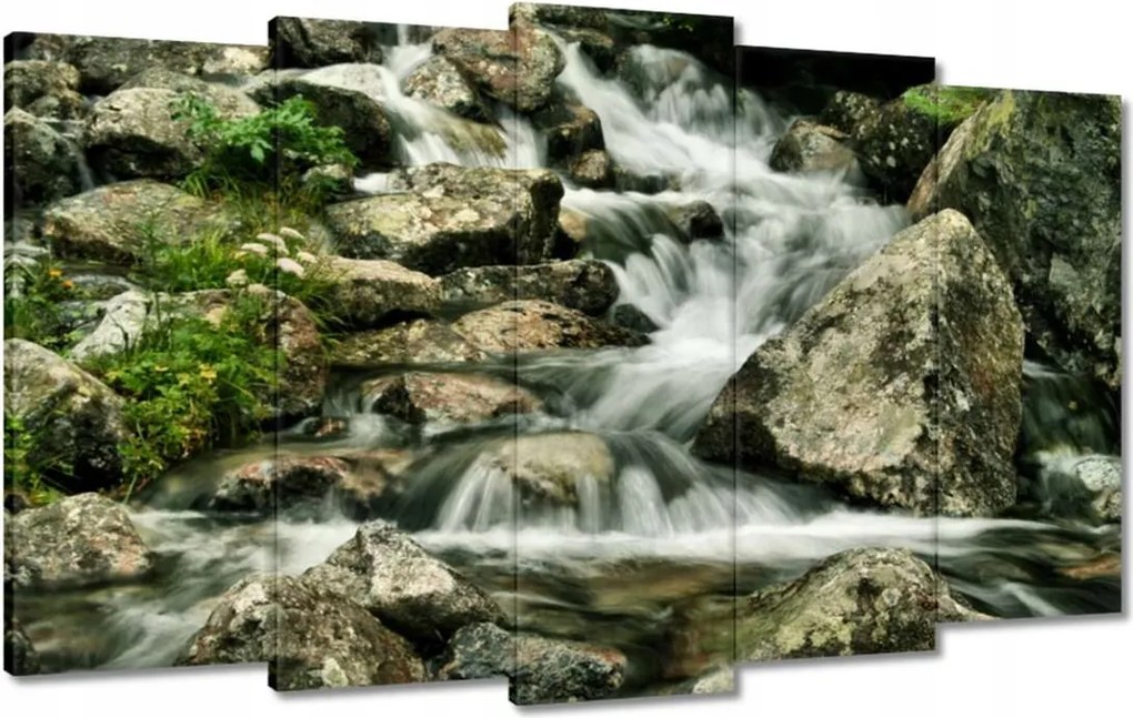 Vászonkép 100x60 Tátrai patak