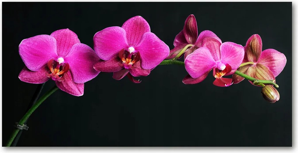 Fotó vászonkép edzett üveg Orchidea 140x70