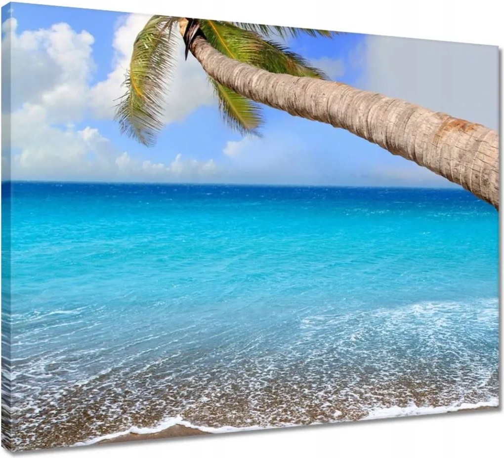 Vászonkép 50x40 Pálmafák az óceán felett