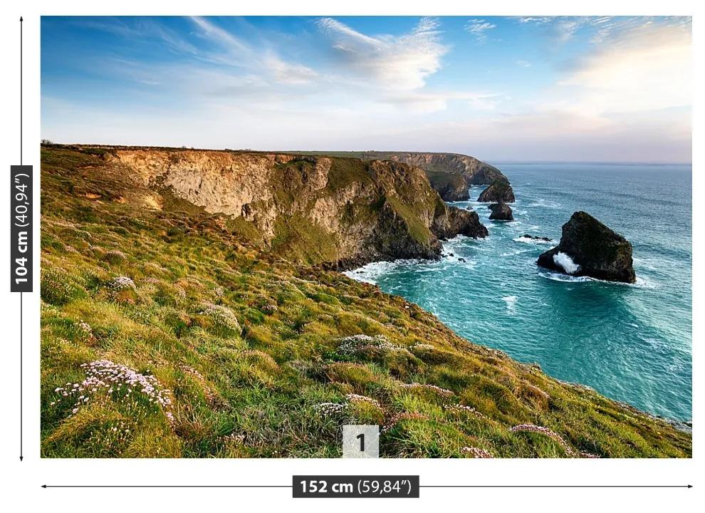Fotótapéta Sea cliff 104x70 cm