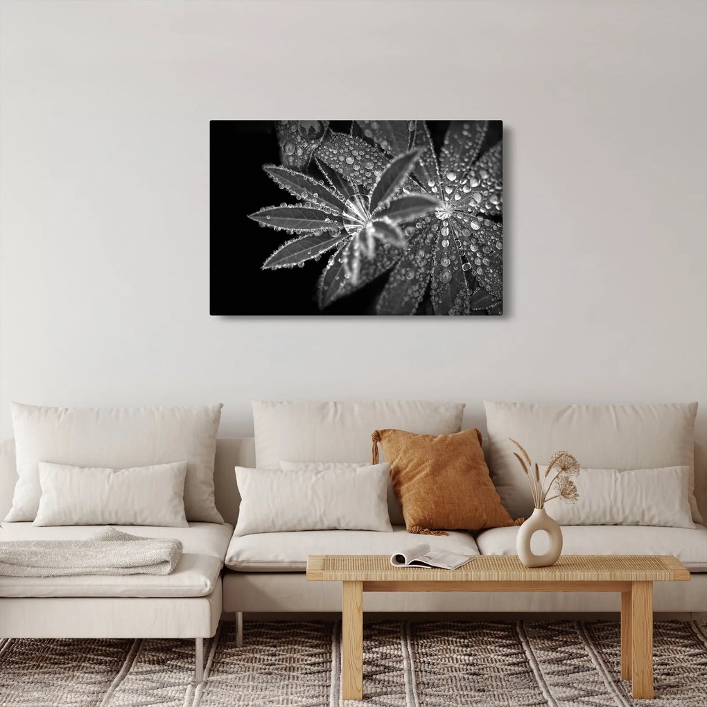Kép - Levelek cseppekkel (90x60 cm)