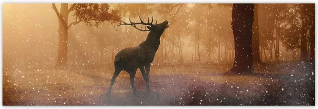 Poszterek 200x66 Szarvas az erdőben